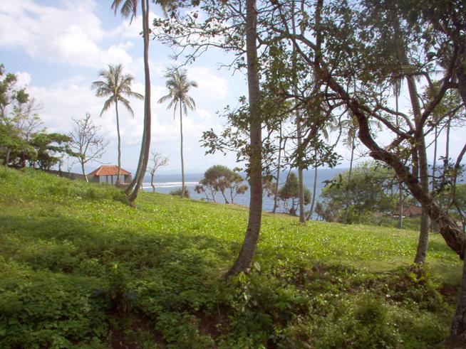 This is flatland model for sale in Senggigi area