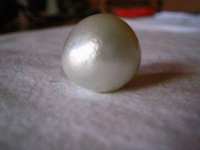 Lombok cultured silver pearls farm Indonesia