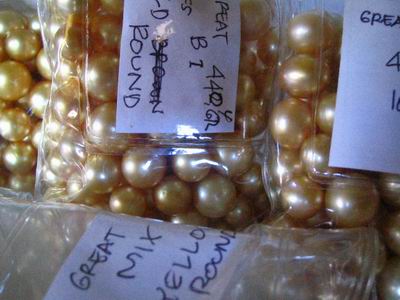 Cultured Golden Pearls round high grade A+, Lombok Cultured Golden Pearls farm Indonesia