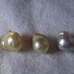 pearls baroque Lombok Cultured Golden Pearls farm Indonesia