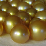 pearls round Lombok Cultured Golden Pearls Indonesia