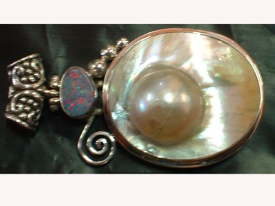 wholewsale shell oyster lombok Indonesia