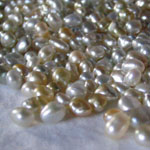 pearls keshi Lombok Cultured Golden Pearls Indonesia