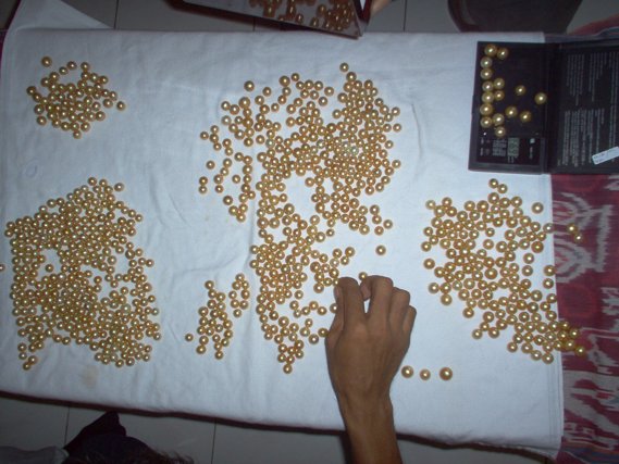 see and selecting Lombok cultured golden pearls farm Indonesia