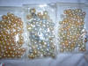 Lombok cultured golden pearls farm Indonesia