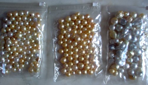 Lombok cultured golden pearls farm Indonesia