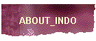 ABOUT_INDO