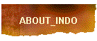 ABOUT_INDO