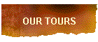 OUR TOURS