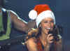 cristmas2.jpg (60558 bytes)