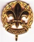 CISA Cap Badge