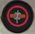  Pioneer Badge