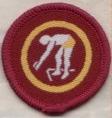 Swimmer Badge