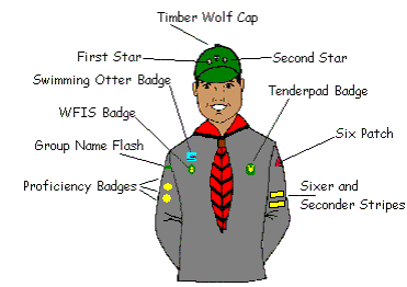 Timber Wolf Uniform