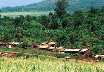 village