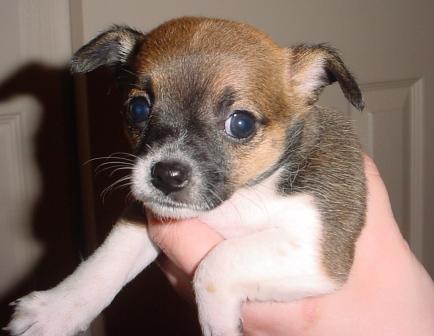 This is Candy. 