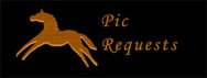 request the use of a pic for your character
