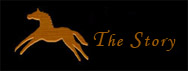 Who are you? Where are you? read on...