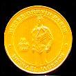 MJ Golden Coin
