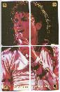Puzzle MJ Phone Cards