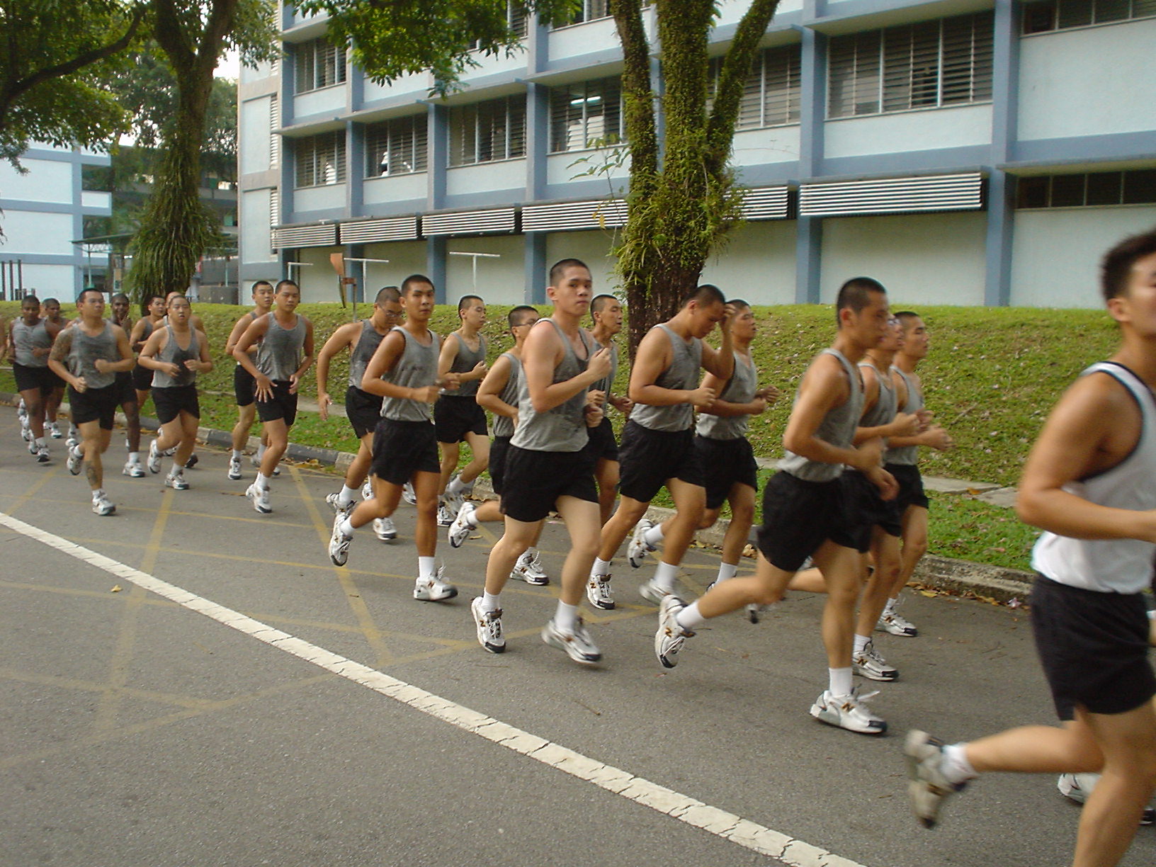 Runs