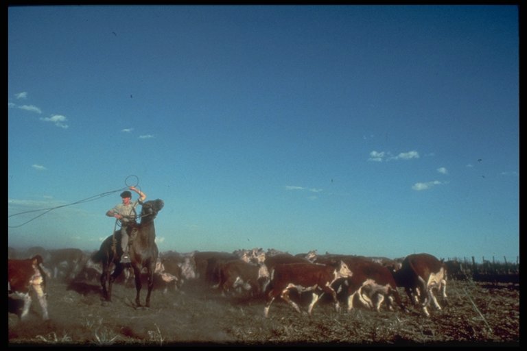 Gauchos en Las Pampas, Argentina