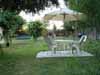 swing