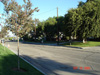 neighborhood