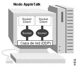 Relación entre Socket, Nodo y el DDP de la capa de red