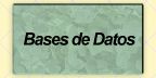 Tema 4: Bases de Datos