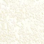 fundal