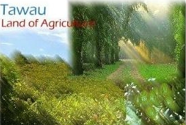 Tawau: Land Of Agriculture