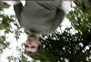 This is how most of us see Keg O' Beer... From the Ground!   Camera man go on the flooooor!