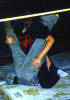 Were did he go?  The disadvantage of using matresses!