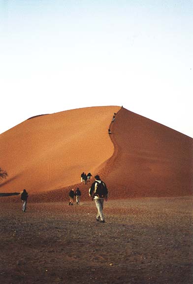 Na-3-10-Dune45voor