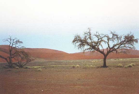 Na-3-12-omgevingvoor