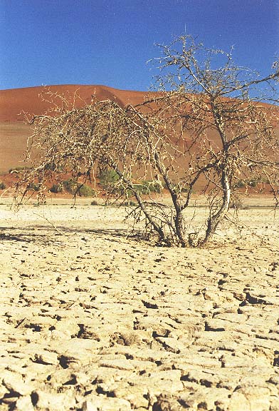 Na-3-35-Sossusvlei