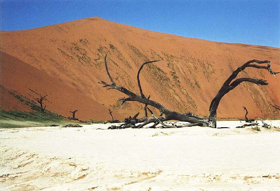 Na-4-07-deadvlei-crazydune