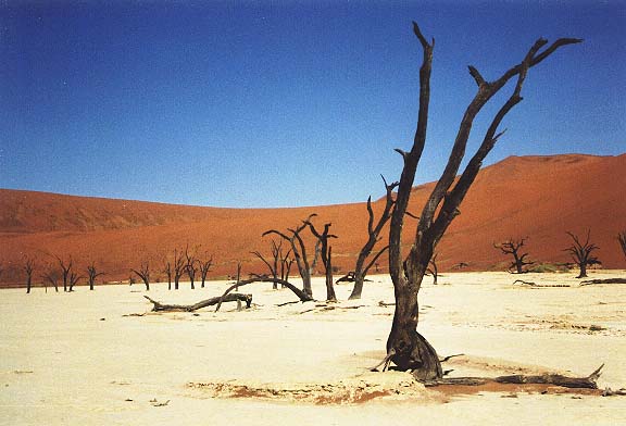 Na-4-09-deadvlei