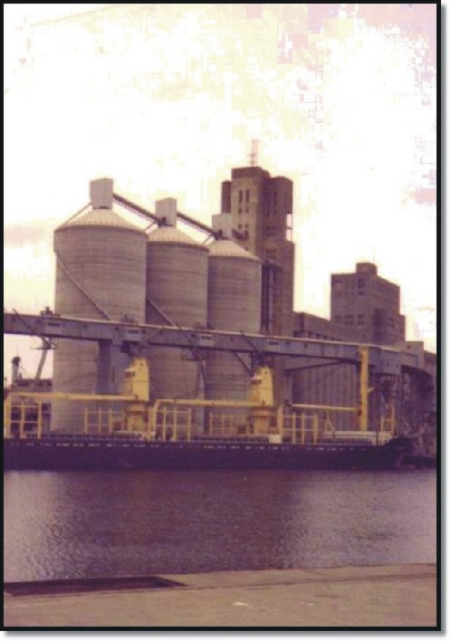 Terminal Quequen - Silos verticales