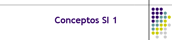 Conceptos SI 1