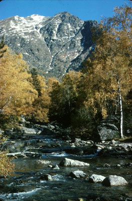 Pla de Boavi