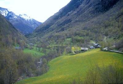 bordes de lladorre