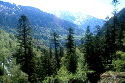 vall de lladorre