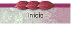 Inicio