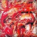 crustacean