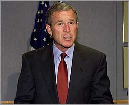 Bush.jpg (6979 bytes)