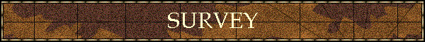 SURVEY