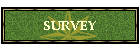 SURVEY