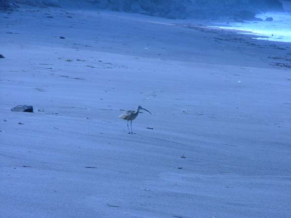 2004_0815_090058